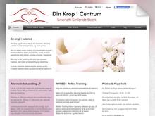Dansk Informationscenter ApS