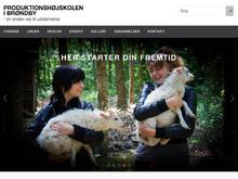 Produktionshøjskolen i Brøndby